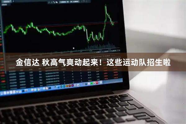 金信达 秋高气爽动起来！这些运动队招生啦