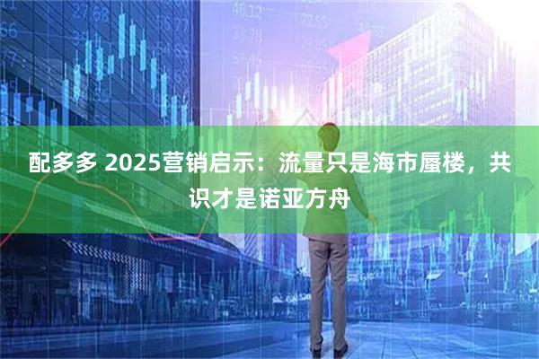 配多多 2025营销启示：流量只是海市蜃楼，共识才是诺亚方舟