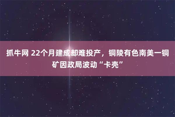 抓牛网 22个月建成却难投产，铜陵有色南美一铜矿因政局波动“卡壳”