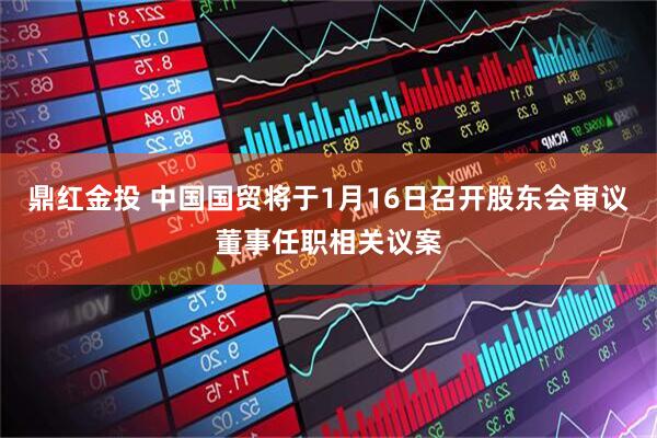 鼎红金投 中国国贸将于1月16日召开股东会审议董事任职相关议案